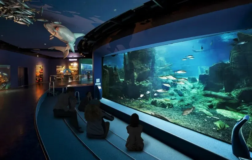 Подводный мир: стамбульский Аквариум